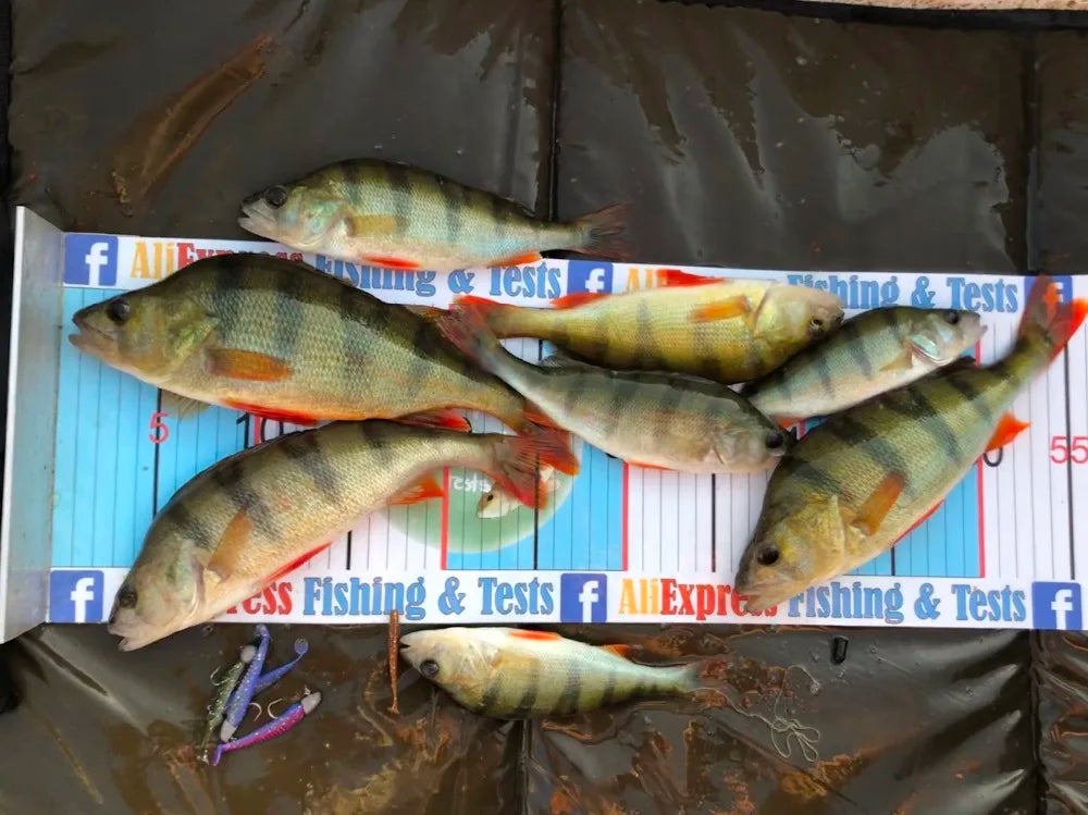 2023 Supercontinent 50mm 80mm 95mm 110mm Fishing Lures soft lure Artificial bait Predator Tackle for pike and Pike